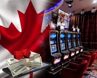 7 Ways To Keep Your find the best live casino in Canada Growing Without Burning The Midnight Oil